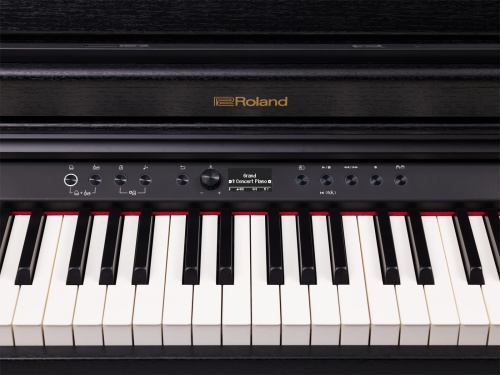 ROLAND RP701-CB фото 5